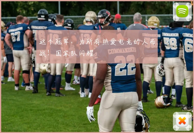 这个冠军，为所有热爱电竞的人而战！国家队闪耀